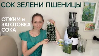 Шнековая соковыжималка для приготовления витграсса.