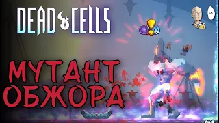 Последний тест проклятий перед Мастером Игорей в субботу! | Dead Cells #31