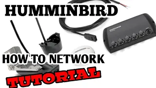 How to NETWORK your HUMMINBIRD Units with/without 5 Port ETHERNET Switch