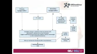 Urowebinar: The New EAU Male Sexual and Reproductive health Guidelines   Male Hypogonadism