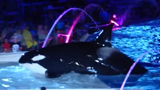 Касатки Последнее Выступление в Сан Диего США Калифорнии Sea World