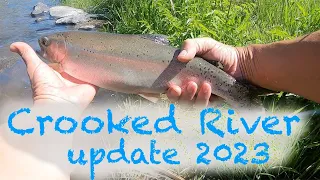 Crooked River Update 2023 | Fly Fishing