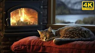 Расслабьтесь с мурлыкающим котом и потрескивающим камином 4K 🔥 Сон в уютной обстановке