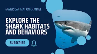 Shark fish : Exploring Shark Habitats and Behaviors