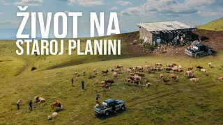 Život u NAPUŠTENOJ mlekari na STAROJ PLANINI