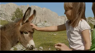 Dolomiti SuperSummer - Family vacation