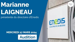 Réseau de distribution d'électricité : audition d'Enedis