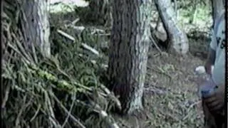 Marble Mountians Bigfoot "Original Video"