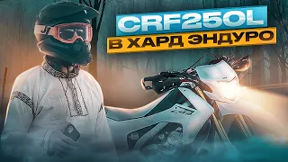 Может ли Honda CRF250L ехать в лесу? | Базовые советы для начинающих | Первый выезд в эндуро