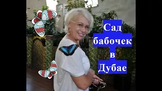 ▶️Сад бабочек в Дубае.