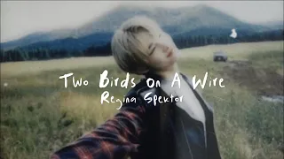 Regina Spektor - Two birds on a wire (lyrics) sped up + reverb