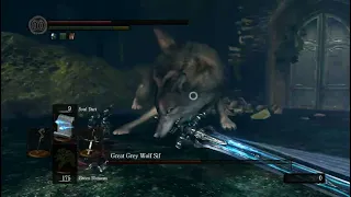 Beating Artorias until Elden Ring's DLC is released - 300, Sundaybreak: So weird, it just disappears