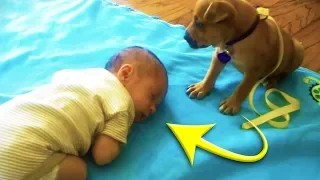 Eine Mutter filmte wie ihr Baby einschlief und erwischte den Moment, in dem ihr Hund näher kam