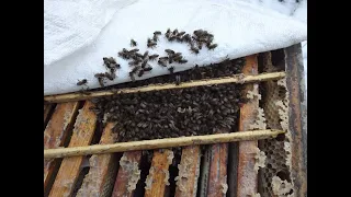 весна на пасеке - утепление ульевого дна для лучшего развития пчел