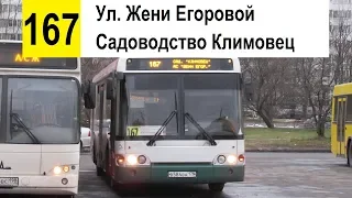 Автобус 167 "Ул. Жени Егоровой - садоводство "Климовец" (смена перевозчика)