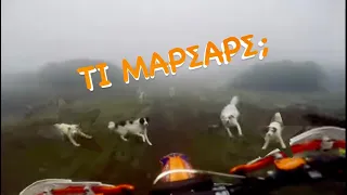 « Τι μαρσαρς » Original Wild dogs attack an Enduro rider in Greece