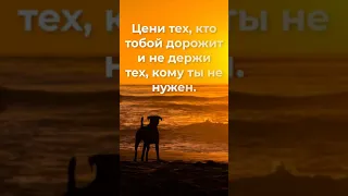 5 Законов Жизни. Не нужно навязываться людям, и ты поймёшь, нуждаются ли они... #Shorts