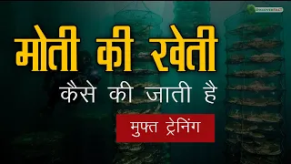 मोती की खेती कैसे करें, Pearl Farming in India