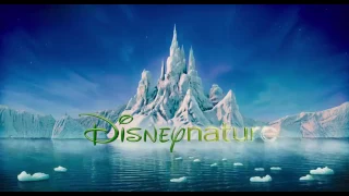 Disney nature DOLPHINS trailer official hd