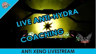 Live anti-Hydra coaching