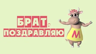 Коровка Марго "БРАТ, ПОЗДРАВЛЯЮ" [душевное поздравление для брата]