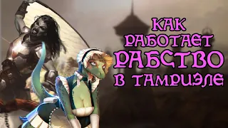 РАБСТВО В ТАМРИЭЛЕ | The Elder Scrolls