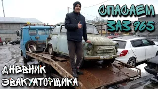 И снова - в объективе  . . . КОНЁК - ГОРБУНЁК !