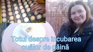 Tutorial - incubația ouălor de găină de la A _ Z