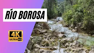 Río Borosa (Cerrada de Elías) - 4K