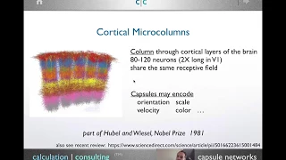 Capsule networks: overview