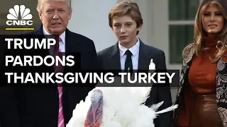 LIVE: President Trump Pardons Thanksgiving Turkey - Nov. 20, 2018