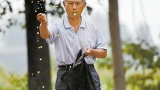В Китае казнили убившего чиновника гвоздеметом фермера