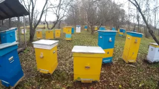 Innovative & Effective Beehives of Ukrainian Beekeeper Vasyl Priyatelenko, Kiev, Ukraine 06.11.2016