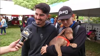 Floppy, fue el primer adoptado - Telemedellín