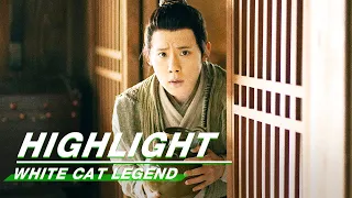 Highlight EP6:Chen Shi was surprised by Li Bing | White Cat Legend | 大理寺少卿游 | iQIYI