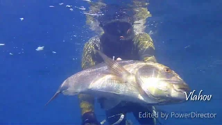 Spearfishing Croatia, Oleg Vlahov, 2019 8