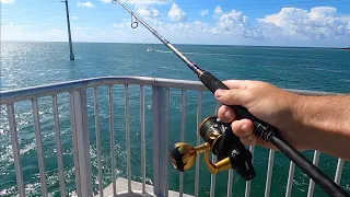 Bridge Fishing in The Florida Keys - Final day in The Florida Keys | The Fish Locker