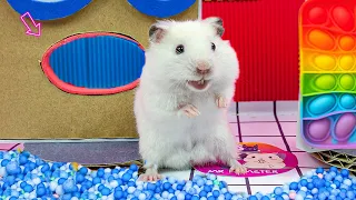 😱 Hamster Escape Maze - Hamster Cute Pets Maze Challenge