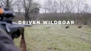 Drückjagd | Wildboar Driven Hunt in Croatia