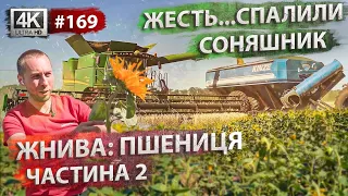 Жесть...спалили соняшник🌻 Молотимо пшеницю і горох. Кукурудза по різних технологіях