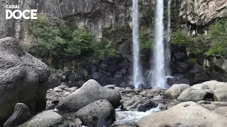 Sonido de Cascada | Agua Cayendo en el Bosque | Ruido Blanco 12 Horas ASMR para Dormir y Relajarse