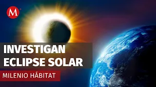 Expertos realizan investigaciones en el mar tras el eclipse solar en Mazatlán | Milenio Hábitat