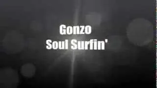 Gonzo - Soul Surfing