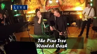 Wanted Cash - The Pine Tree - Johnny Cash Tribute Band @Rockabilly-Konzerte