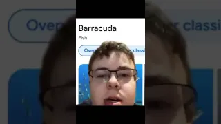 aducarraB meme , Barracuda backwards