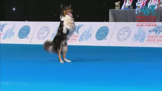 FCI Dog dance World Championship 2016 – Freestyle final  - Lisette Olausson and Gaston (Sweden)