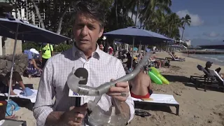 Michigan family files lawsuit against Hawaii tourism authority over snorkeling dangers after long