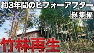 放置された竹林…3年間の重労働の末に根こそぎ消滅！？かかった費用は総額〇〇万円…【総集編】