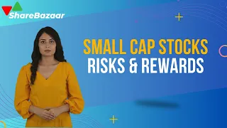 The Best Small Cap Stocks: Risks and Rewards | Share Bazaar