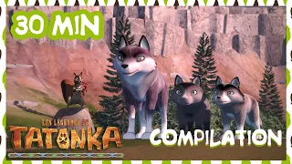 Tatonka Nouvelle Compilation 🐺 Le Paria 🐺 Dessin animé en français